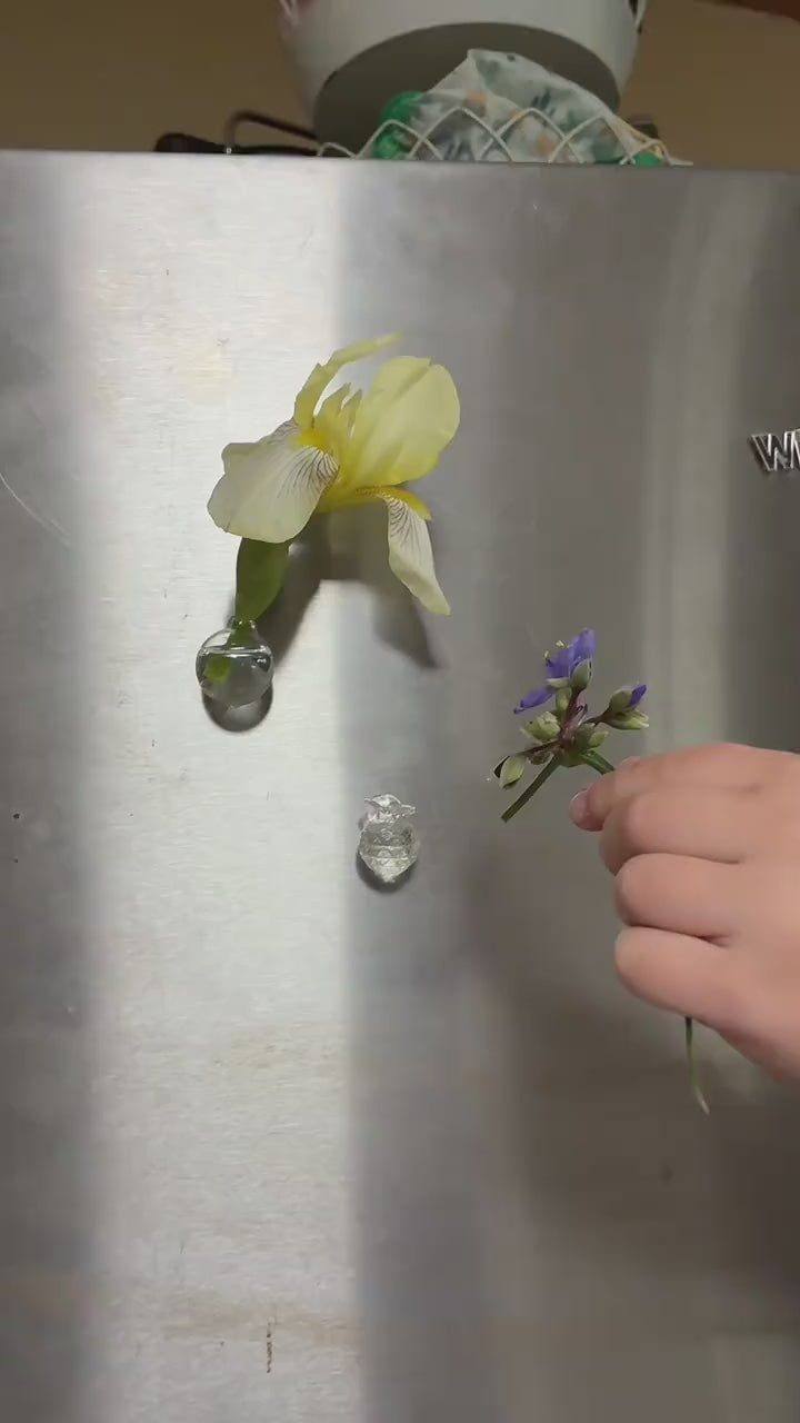 Customer video