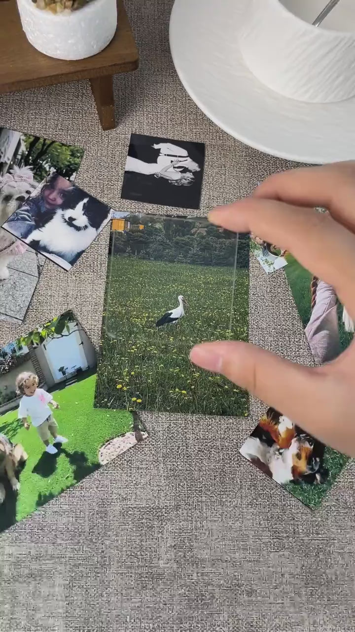 Customer video