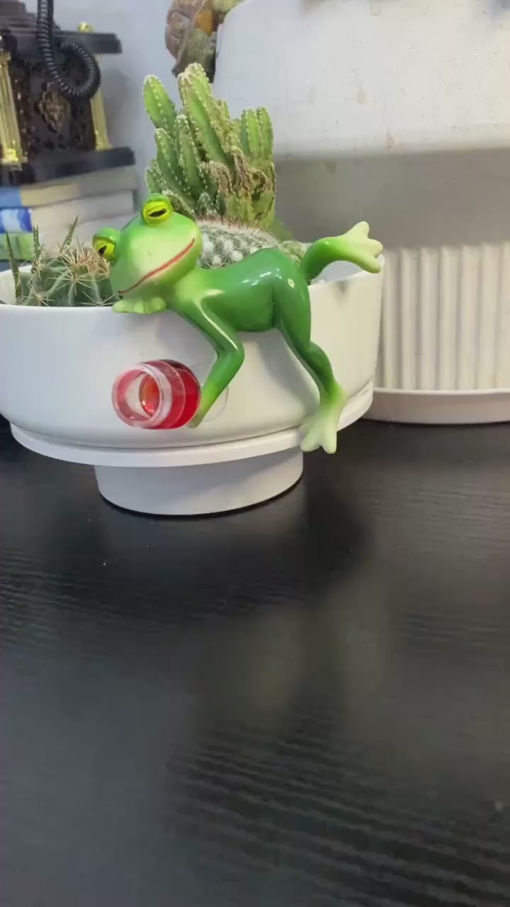 Customer video